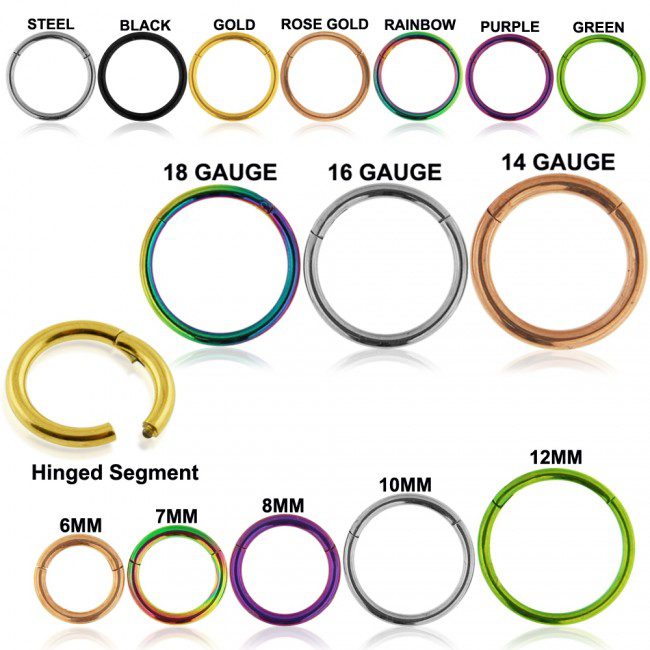 Titanium Hinged Nose Ring, 20G, Septum Ring, Earring, Seamless, Segment Hoop  Vital Body Jewelry - Etsy