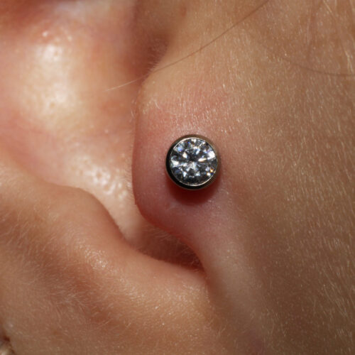 Tragus