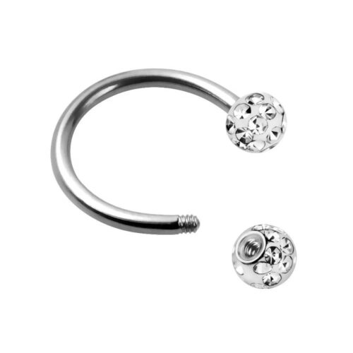 316L Surgical Steel Horseshoe- Clear