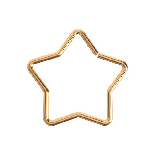 Star Cartilage Ring