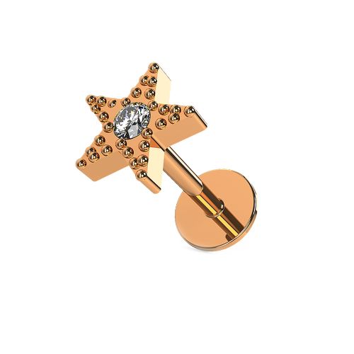 316L Surgical Steel Tiny Jewelled Star Stud- Rose Gold