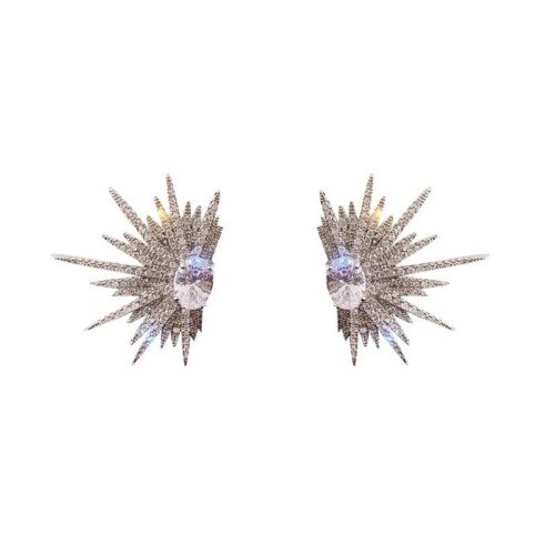 Wings Fashion Earrings