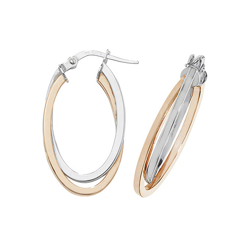 Double Hoop earrings