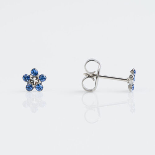 Stud Earring
