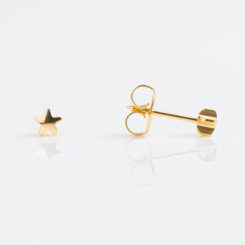 Star Stud Earring