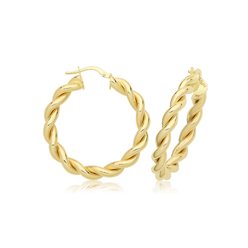 Plaited Hoops Earring