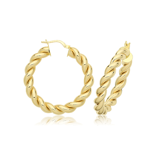 Plaited Hoops Earring