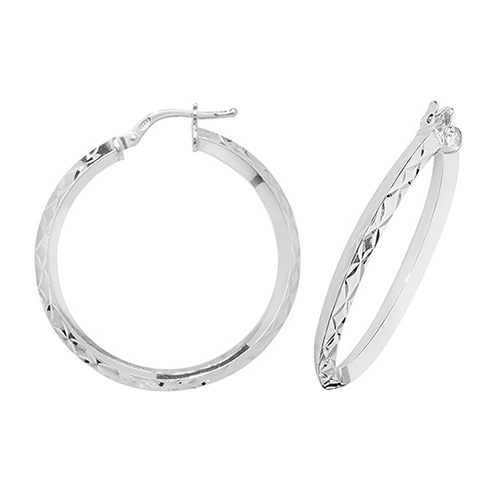 Hoop Earrings