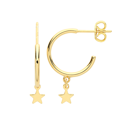 Gold Plated Earrings
