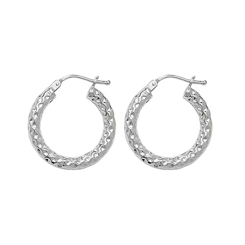 Hoop Earrings