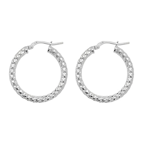 Hoop Earrings