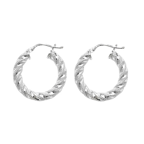 Hoop Earrings