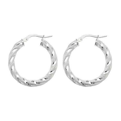 Hoop Earrings