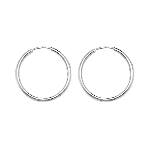 Sleeper Hoop Earrings