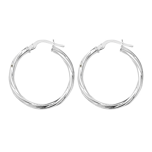 Hoop Earrings