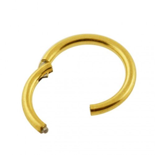 Gold Nose Hoop