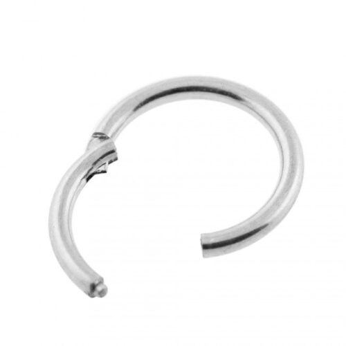 Silver Nose Hoop