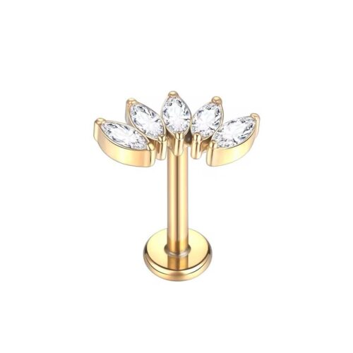 Internally Threaded Earring