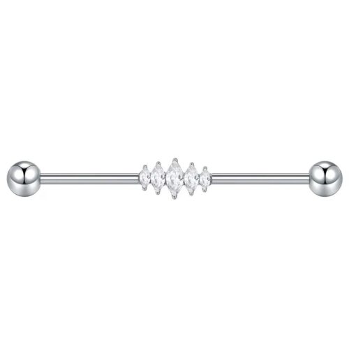 Scaffold Industrial Barbell