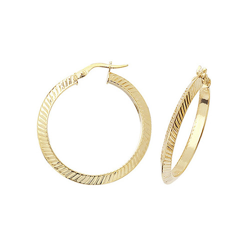 Hoop Earrings