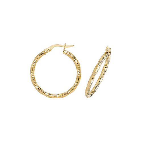 Hoop Earrings