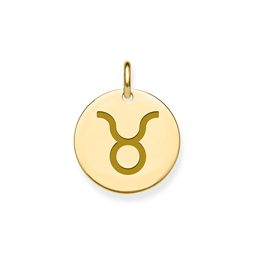 Zodiac Pendant