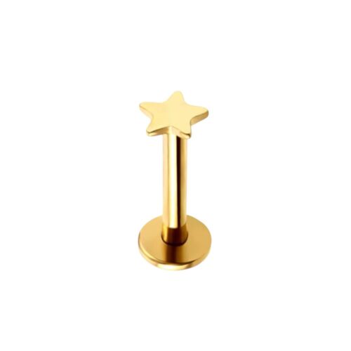 316L Surgical Steel Threaded Gold Small Star Labret Flatback 1.2mm x 8mm