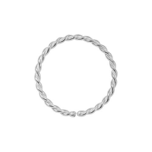 Silver Nose Hoop